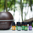 Lagunamoon Essential Oils Top 6 Gift Set Pure Essential Oils for Diffuser, Humidifier, Massage, Aromatherapy, Skin & Hair Care