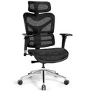 Ergonomic Mesh Adjustable High Back Office Chair with Lumbar Support-Black