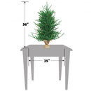 36 Inch Mini Carmel Pine Christmas Tree with 30 Pinecones