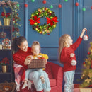 Pre-lit Snow Flocked Christmas Wreath with 50 LED Lights