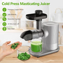 Horizontal Slow Masticating Extractor Juicer with Brush-Silver