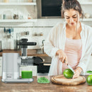 Horizontal Slow Masticating Extractor Juicer with Brush-Silver