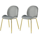 Set of 2 Velvet Accent Chairs with Gold Metal Legs-Gray