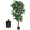 6 ft Artificial Ficus Silk Tree