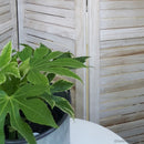 6 Panels Classic Venetian Wooden Slat Room Screen