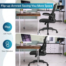 Ergonomic Desk Chair with Lumbar Support and Flip up Armrest-Black