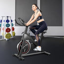 Stationary Exercise Bike Cycling Bike with 22Lbs Flywheel